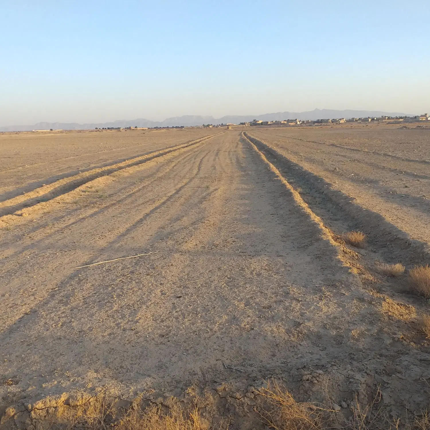 زمین باغی کشاورزی