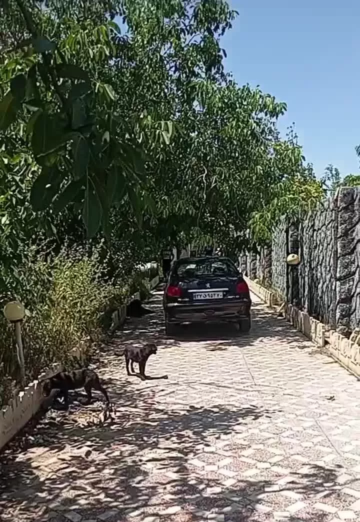۱۰۰۰متر باغ ویلا لم آباد شهریار ملارد