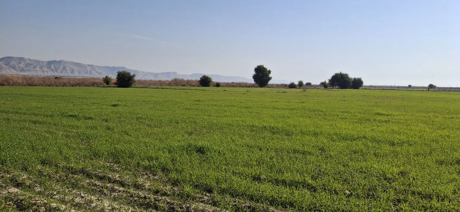 زمین 250 متری مسکونی دهستان اسیاب