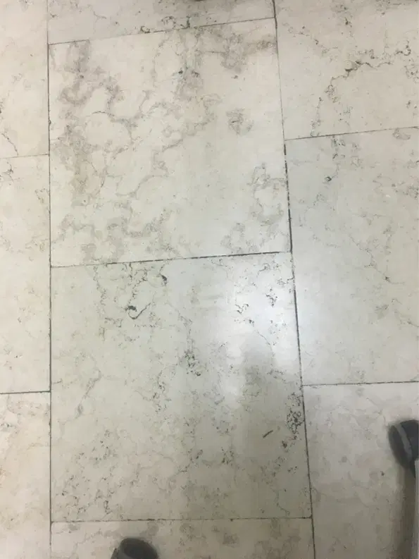 رهن و اجاره لادن