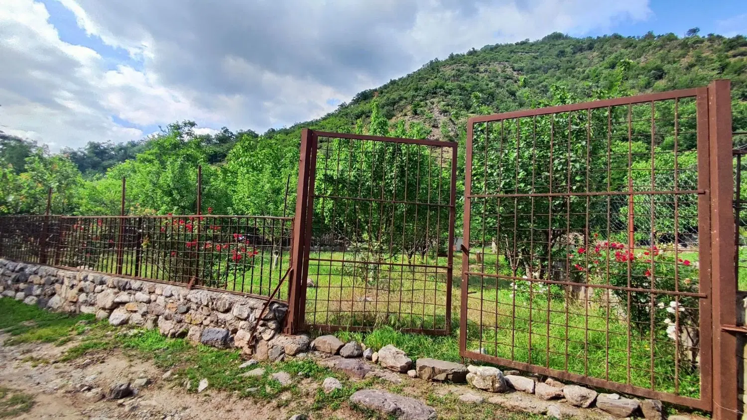 فروش زمین باغی دهنه محمدآباد،ایستگاه چوب