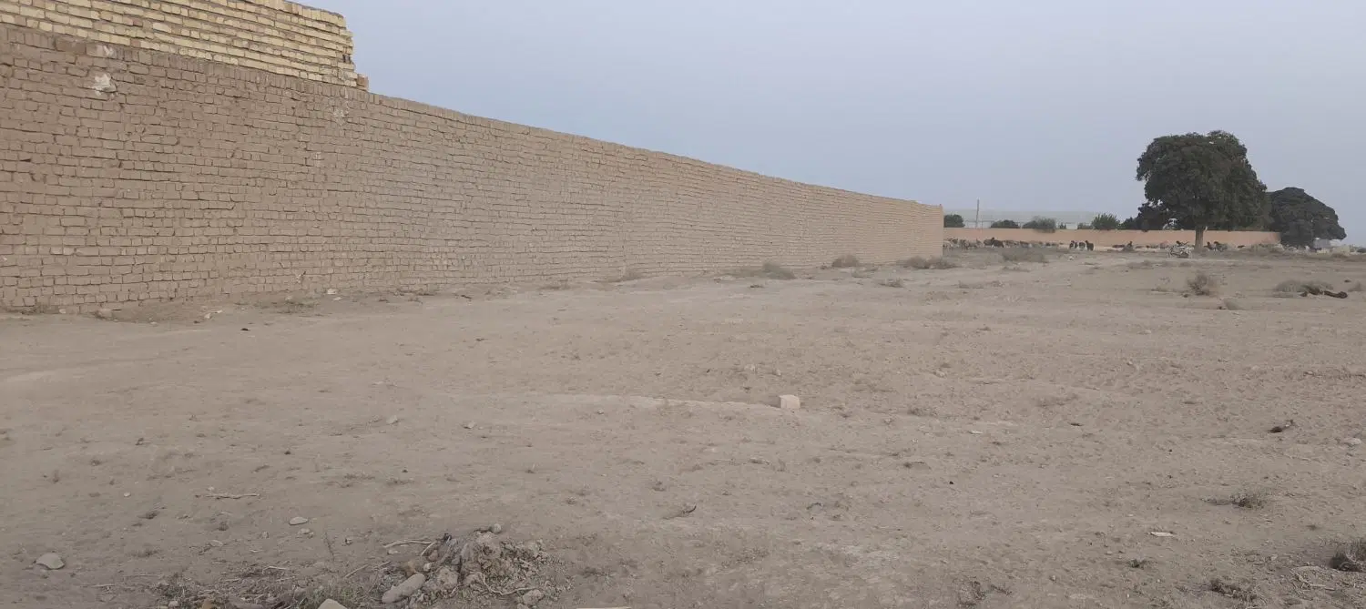 زمین دامداری سند دار