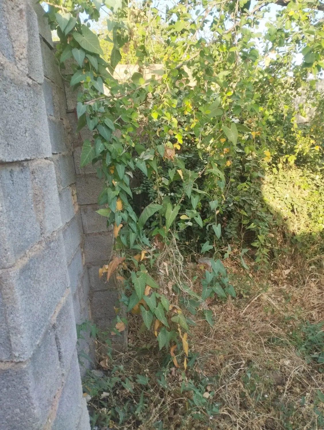 فروش خانه ویلایی روستا چهارگاوه