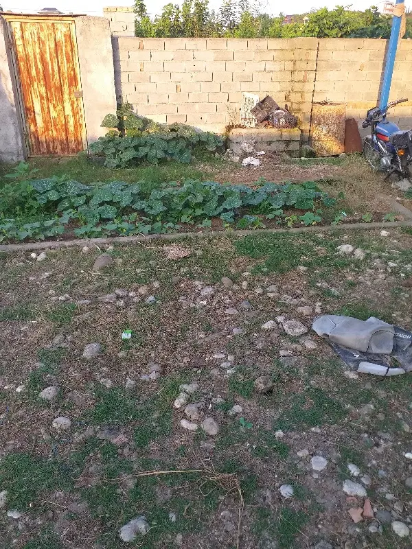مزایده زمین تجاری مسکونی در جاده سلیمان آباد