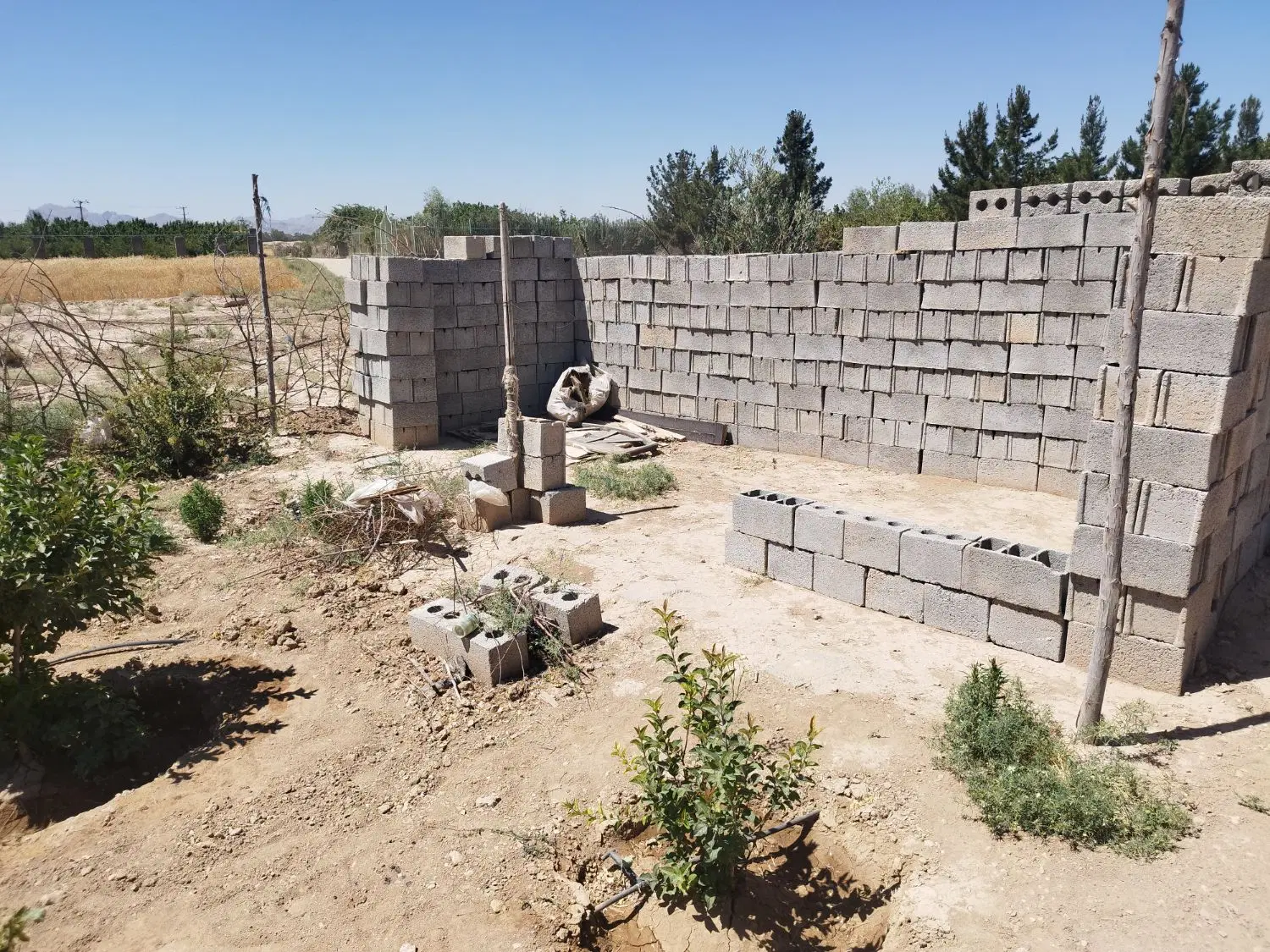 فروش زمین باغ در عاشق آباد
