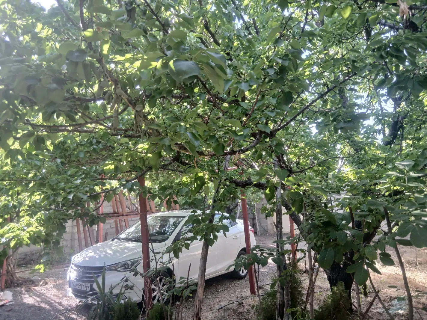 خانه ویلایی ساردوییه(درب بهشت)