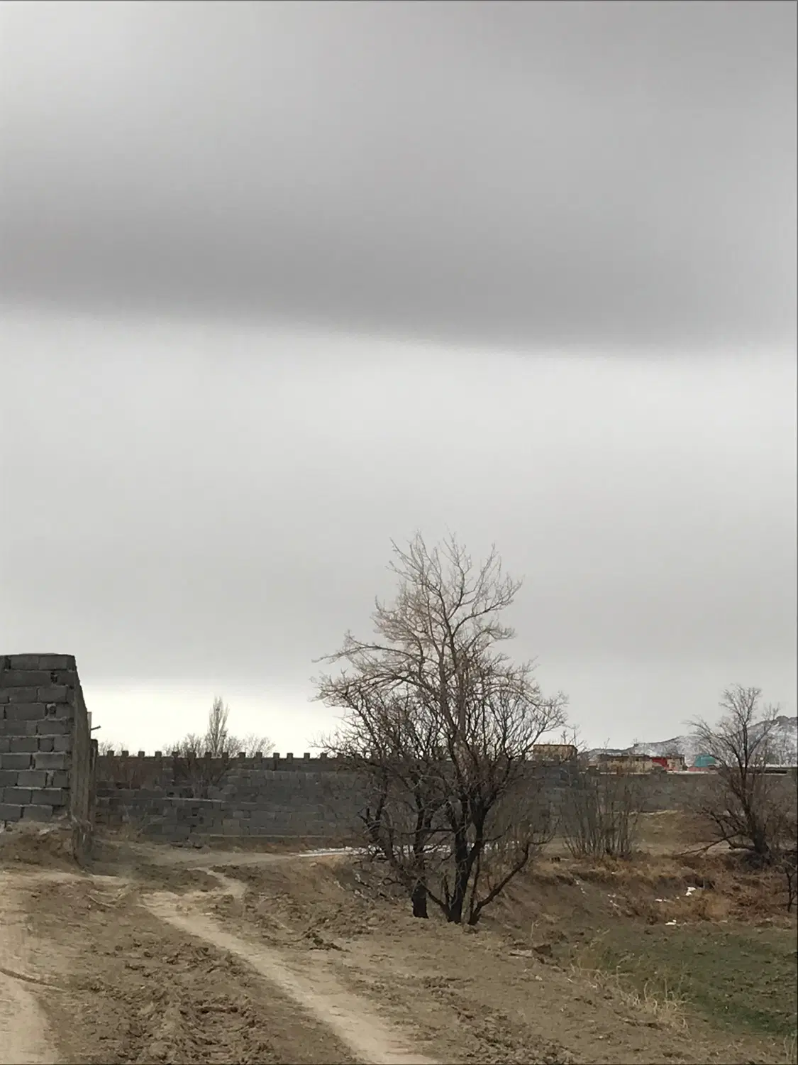زمین باغی