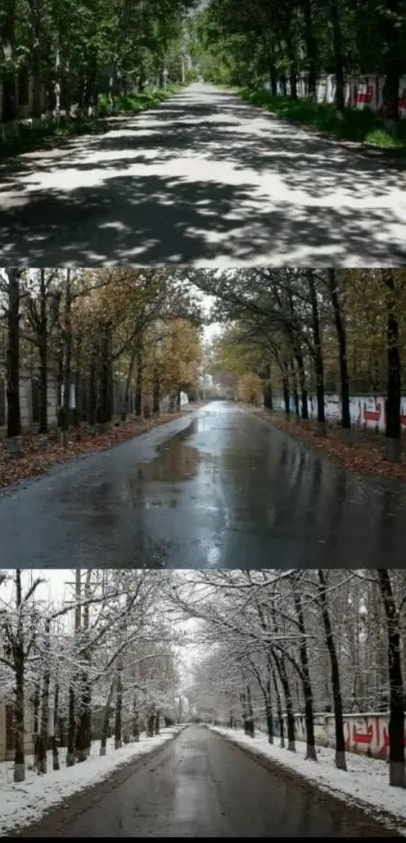 زمین مسکونی