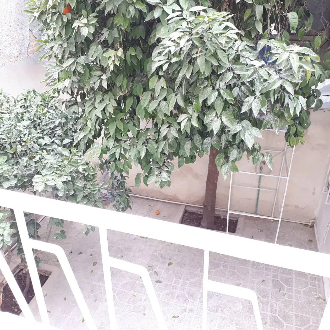 رهن خانه ویلایی دربست