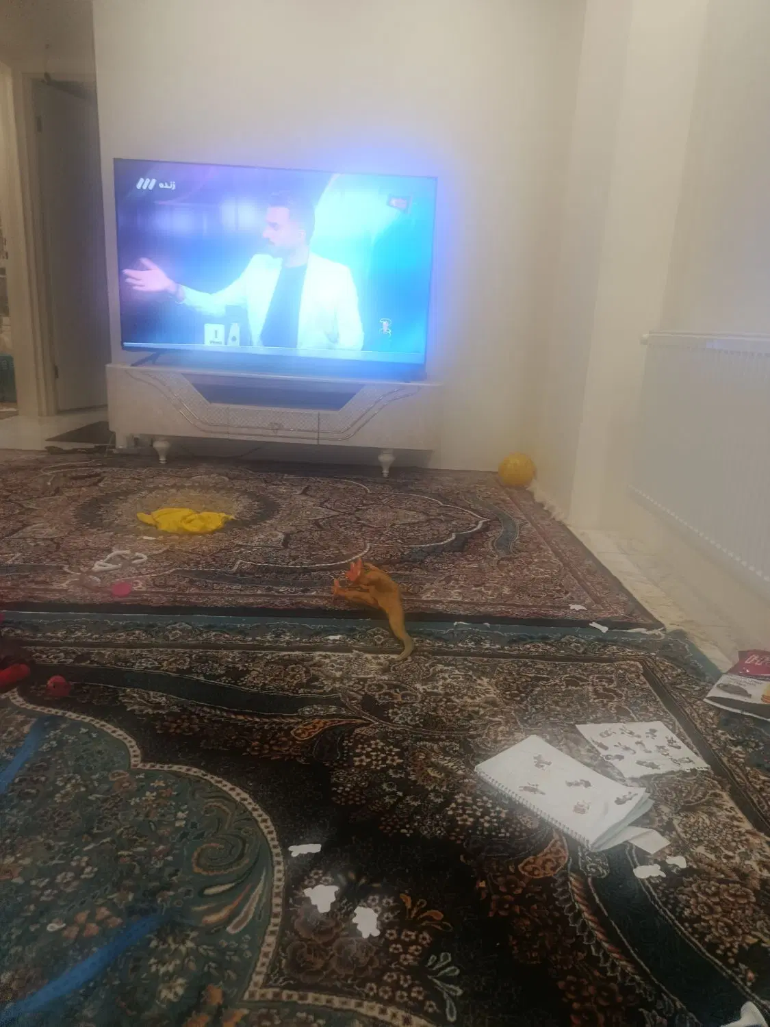 خانه اجاره ای  60متری اتابک