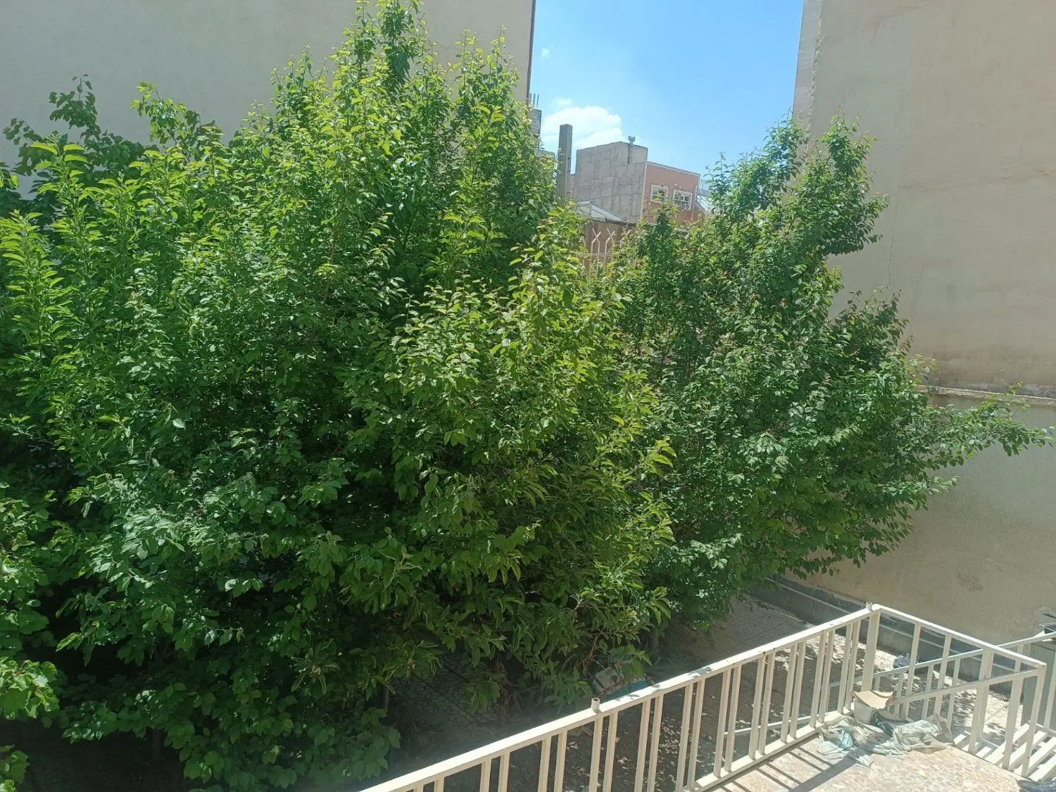 حیاط دربست 200دو طبقه