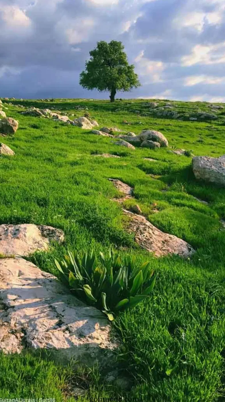 زمین خلف آباد