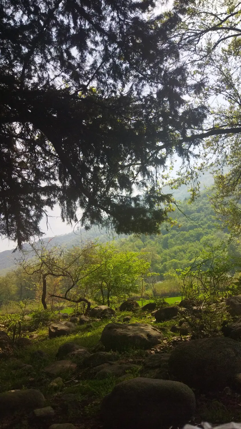 فروش زمین