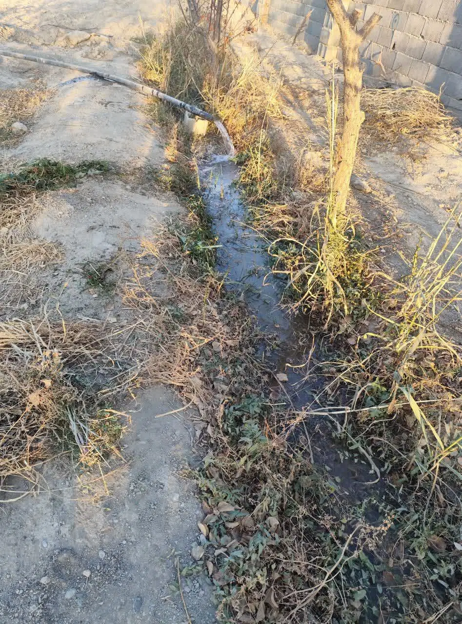 باغ 1270 متری واقع درروستای تاریخی کاج