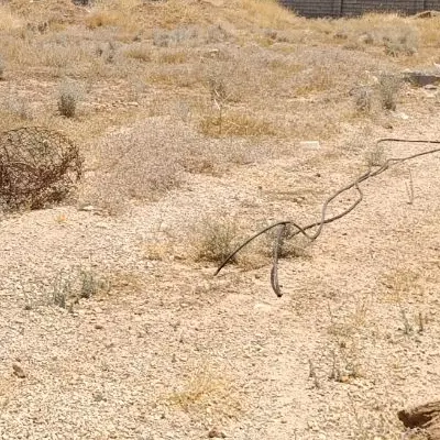 زمین تجاری مسکونی