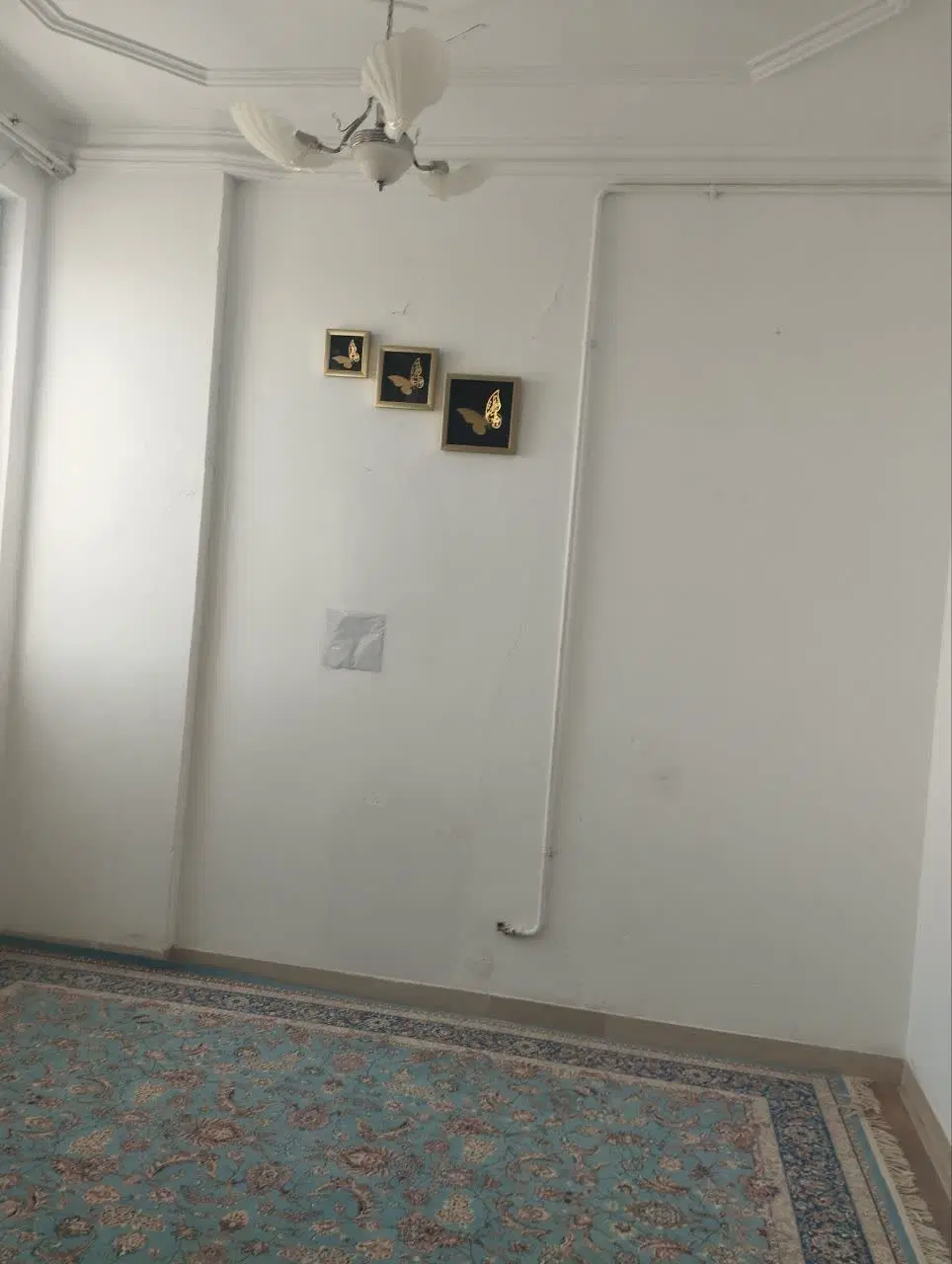 اجاره واحد ۱۳۵متر