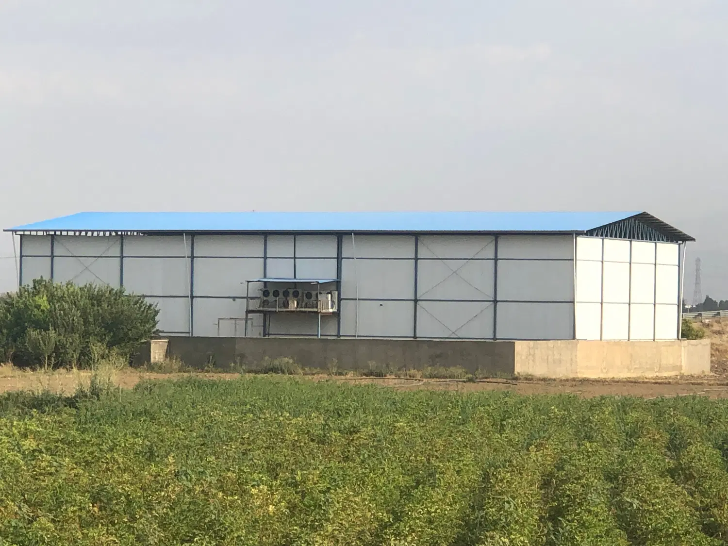 اجاره سردخانه بالای صفر با همه امکانات