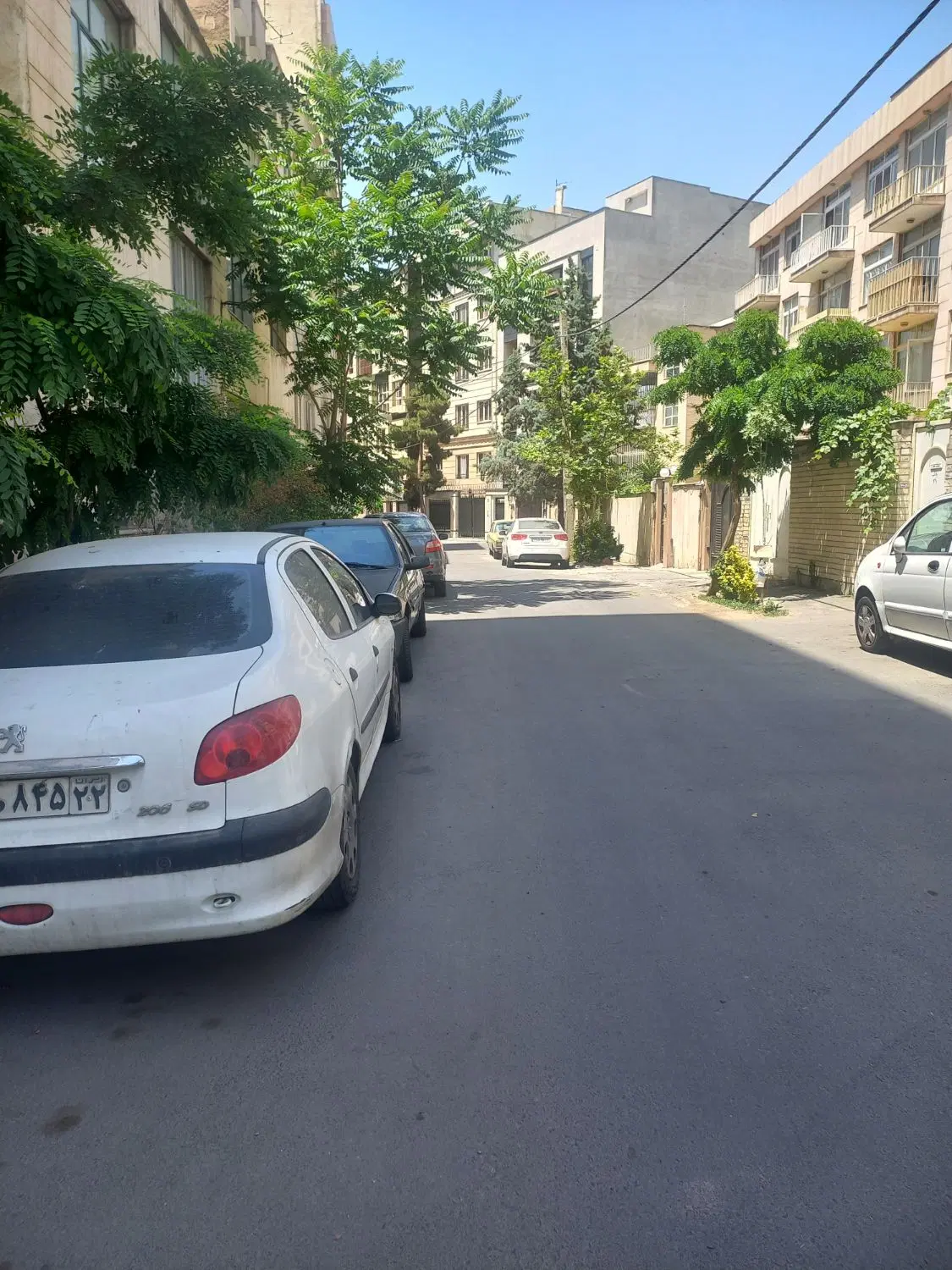 ۲۹۳ متر  کلنگی دریان نو