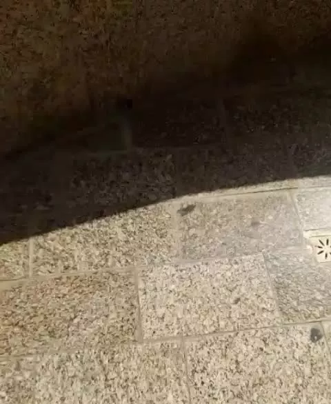 مغازه ۵۰متر