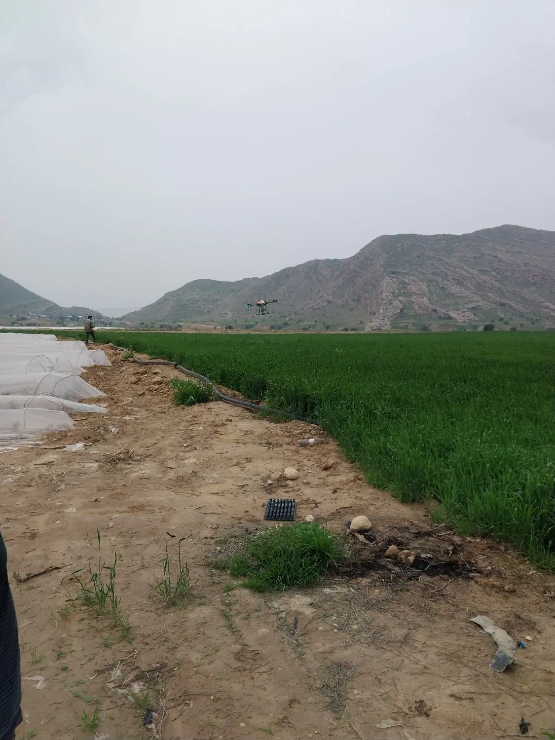 ۱۴ هکتار زمین کشاورزی
