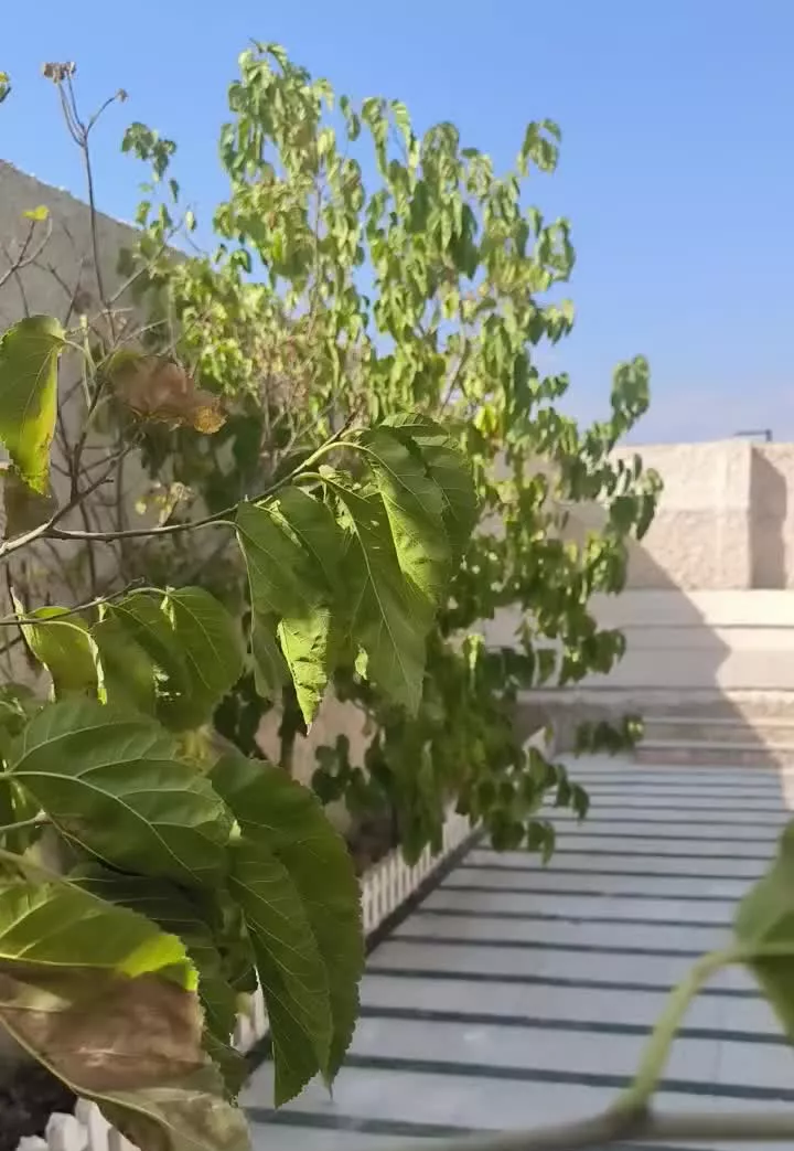 ۴۰۰ متر چهار دیواری قدمت دار کردان