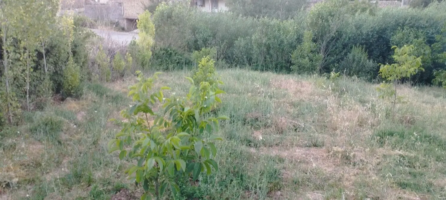 زمین بسطام ۱۰۰۰متر