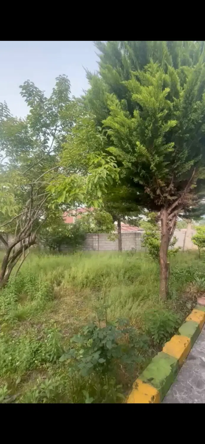 حدود ۳۲۰ متر زمین در پایتخت ساحلی ایران