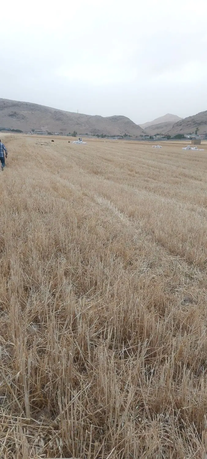 فروش زمین مسکونی