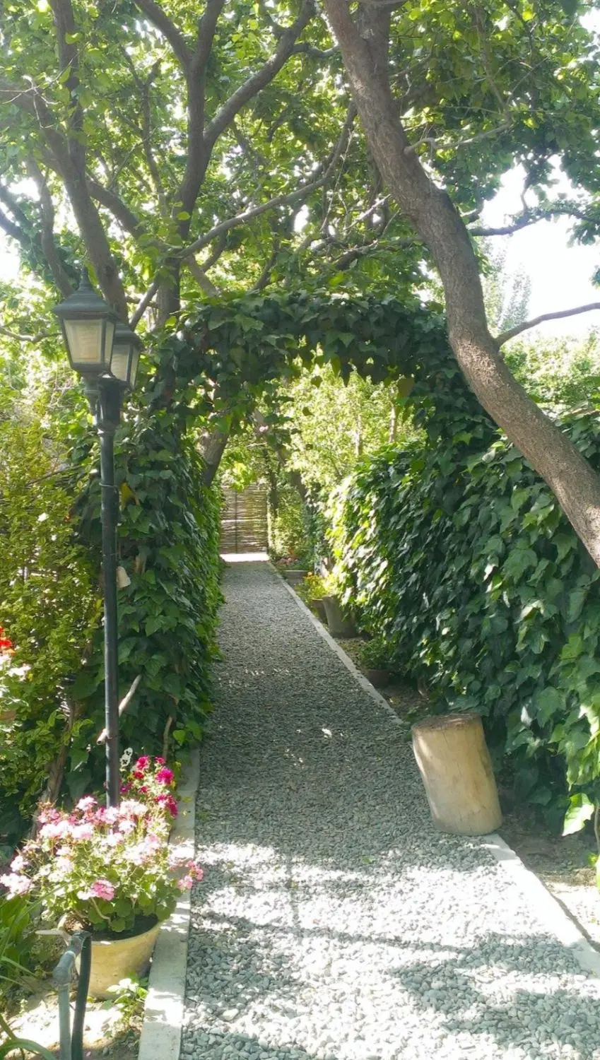 باغچه فروشی به متراژ ۳۲۰