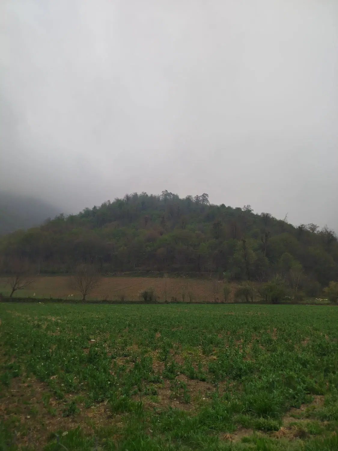 اجاره زمین۱۰۰۰