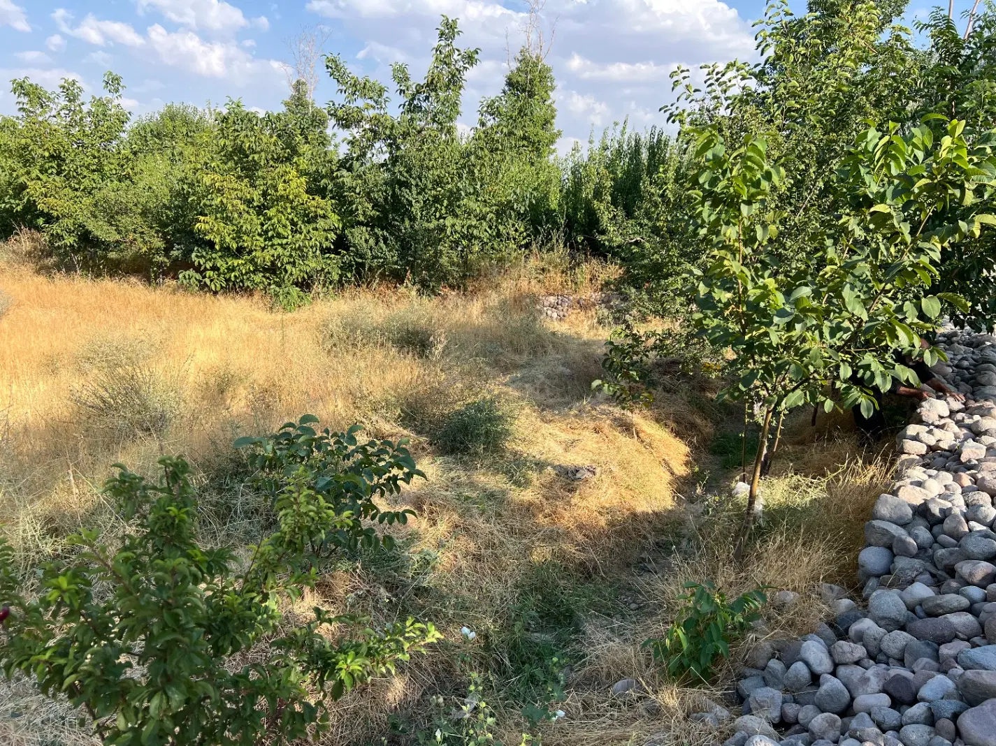 زمین ویلایی