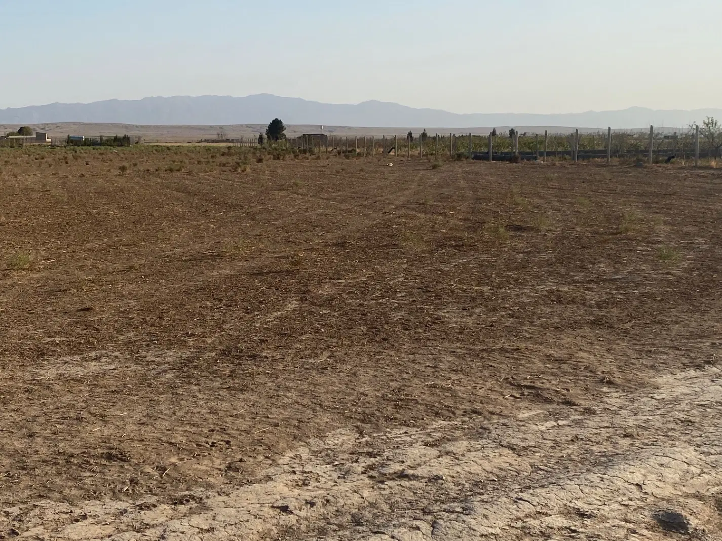 زمین کشاورزی ۵۰۰۰