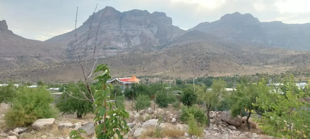 اجاره زمین بلوار کوثر