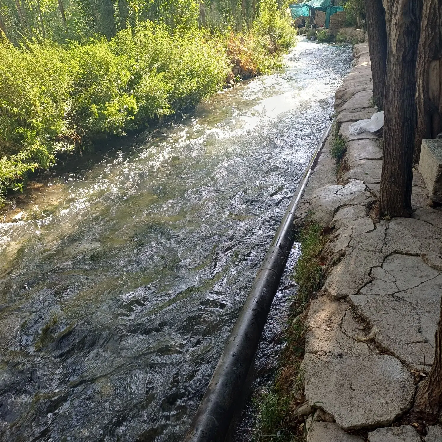زمین 146 متری مرکز شهر