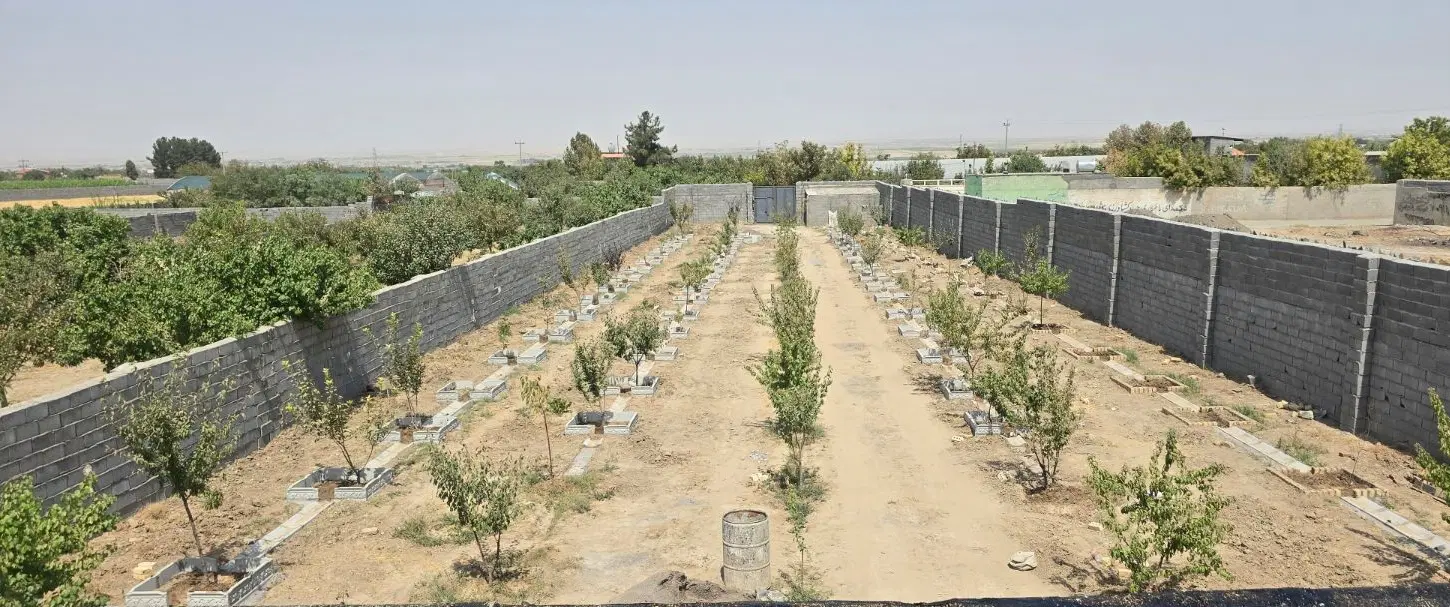 باغ ویلا