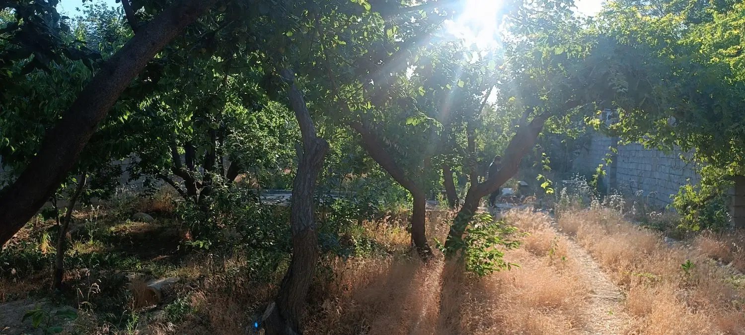 باغ ویلا