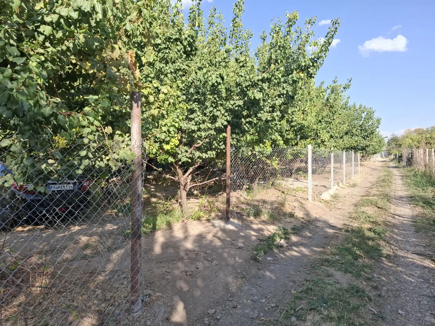 باغچه۴۰۰متری تفریحی کمالوند