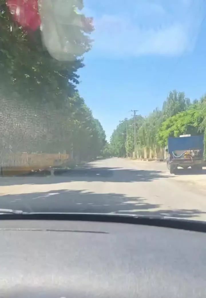 باغ سند تک برگ