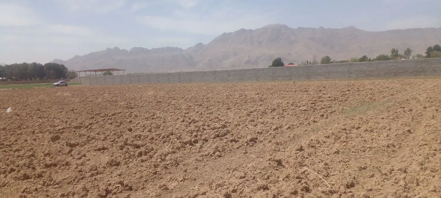 زمین باقی