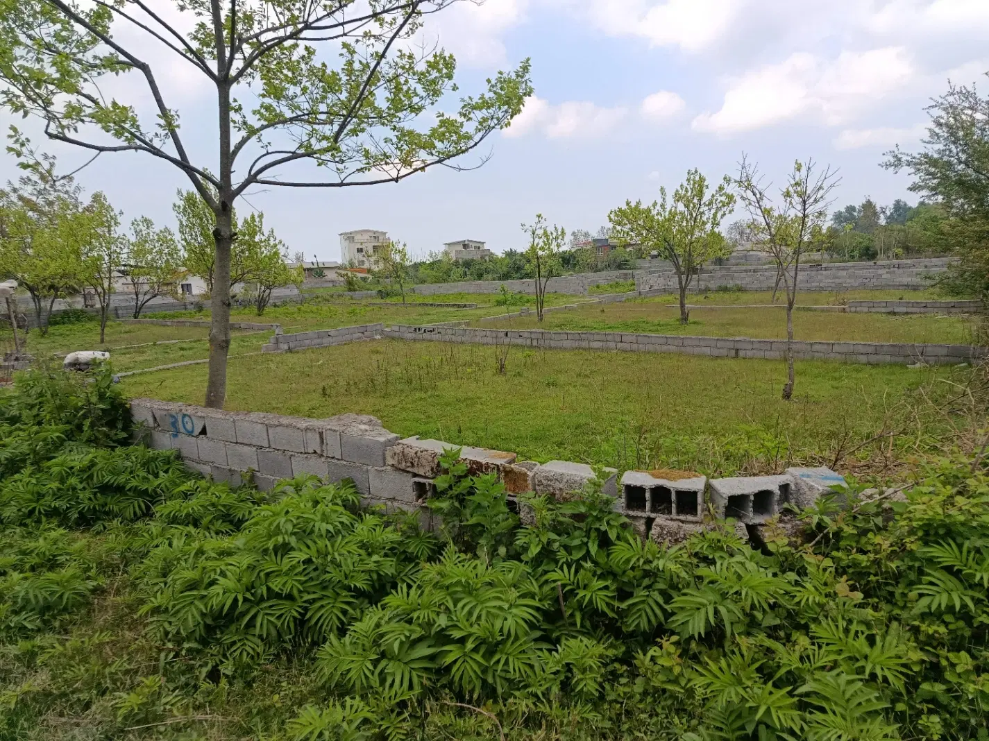 زمین کشاورزی جی شیر