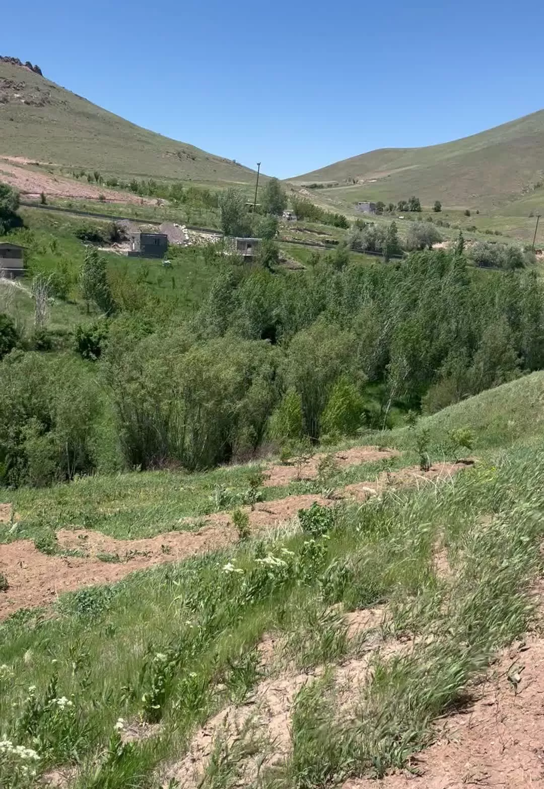 زمین باغی همراه با چشمه دائمی کلا در اختیار باغ