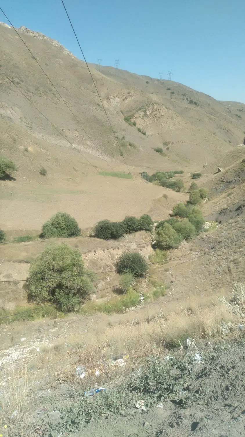 زمین