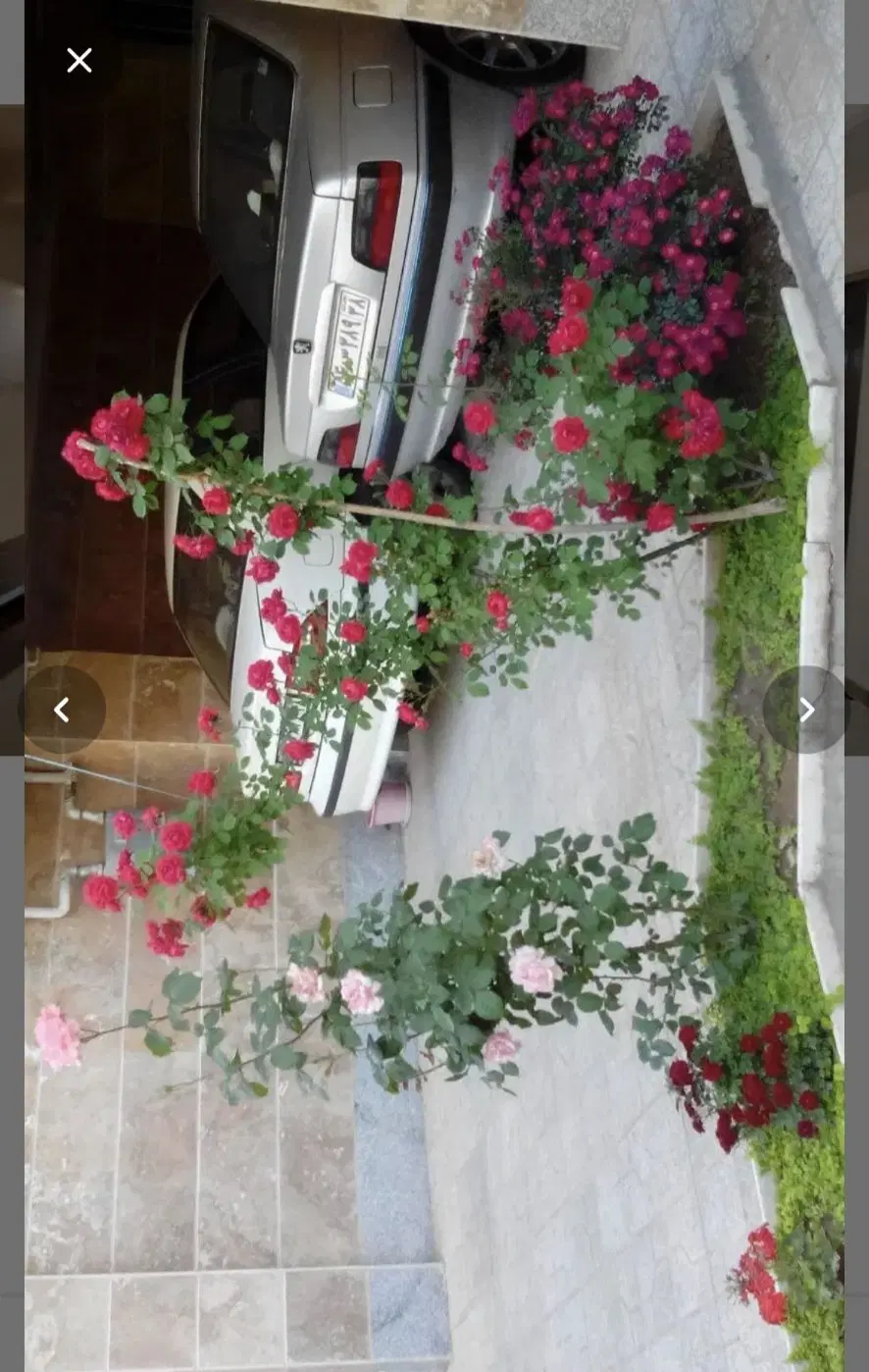 واحد ۱۰۰ متری ساماندهی معراج ۴