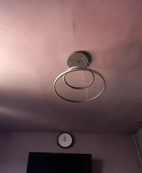 همخونه