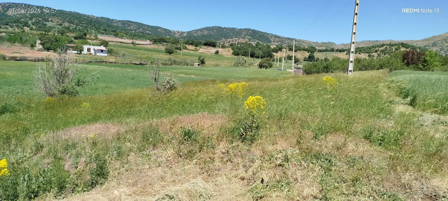 زمین خام برای خانه باغ در میر اباد