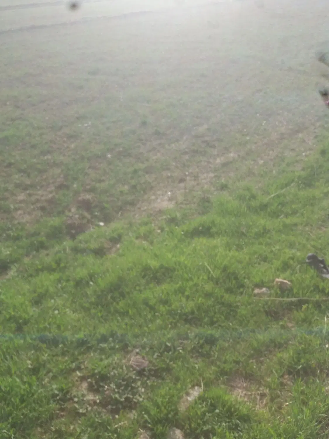 زمین باغی روستای چشین