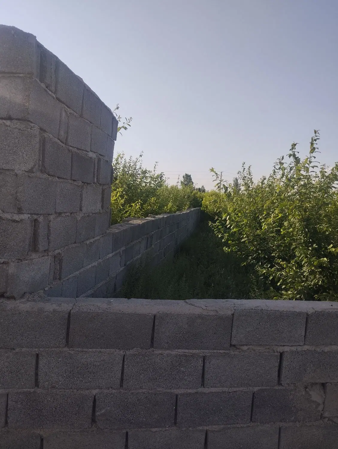 باغ باغچه ۴دیواری