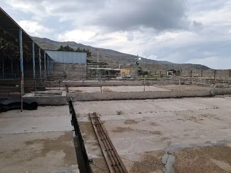گاوداری  فروشی