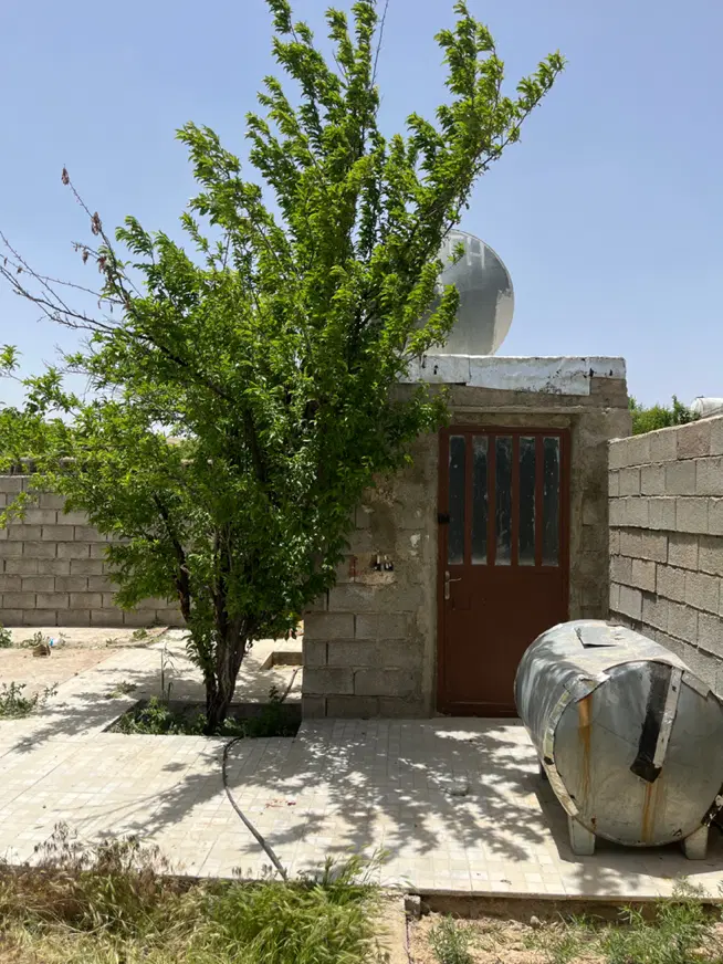 باغشهری سند تک برگ - خانه زنیان