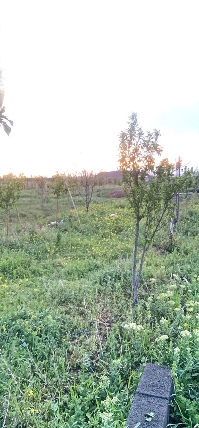 باغ رضی آباد